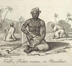 A Senegalese Marabout holding the long stem of an elbow pipe, 1780s; for details, see www.slaveryimages.org, image reference VILE-factitle